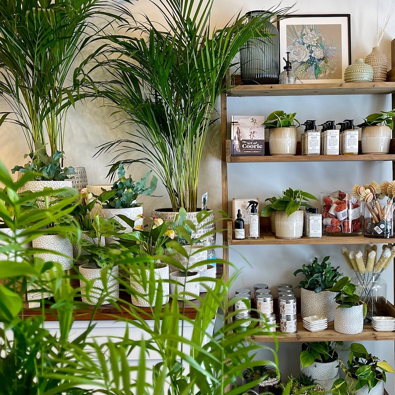 Shopping in Edinburgh? We go off the beaten path to Bruntsfield. The